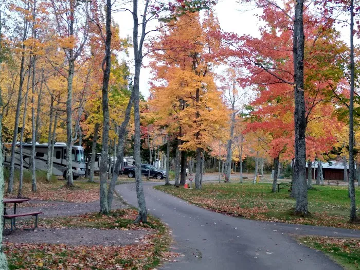 Union River 'Big Bear' Campground 6