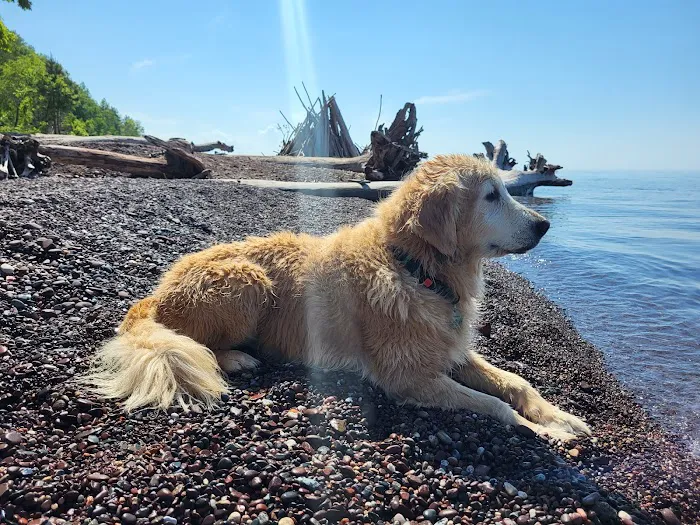 Union Bay Campground 8