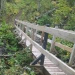 The Porkies Union Bay