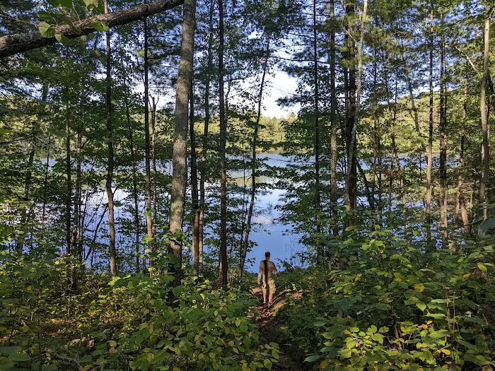 Wanoka Lake Campground 2