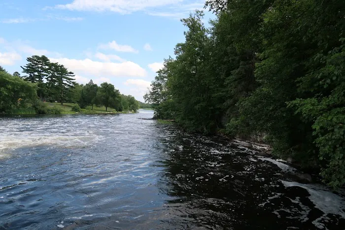 Wanoka Lake Campground 4