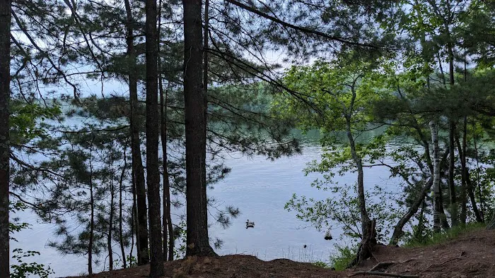 Twin Bear Campground 5