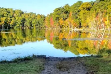 Wildwood Campground
