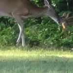 Happy Ours Rv Park