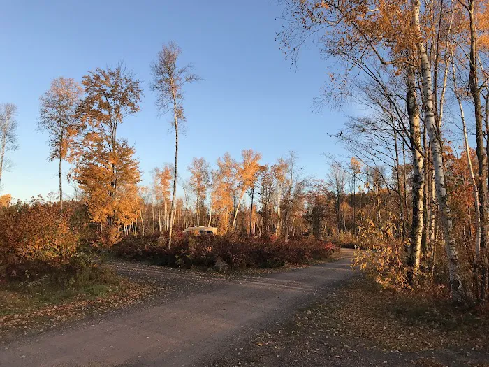 Birch Grove Campground 5
