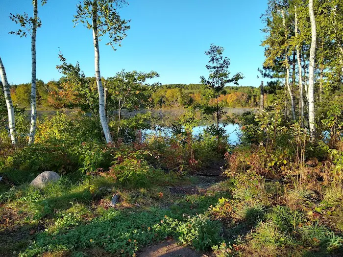 Birch Grove Campground 7