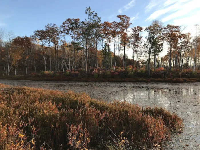 Birch Grove Campground 9