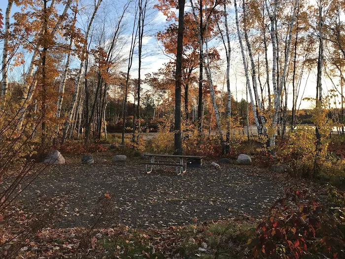 Birch Grove Campground 10