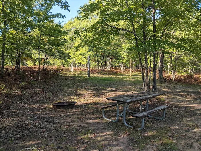 Horseshoe Lake Horse Campground 4