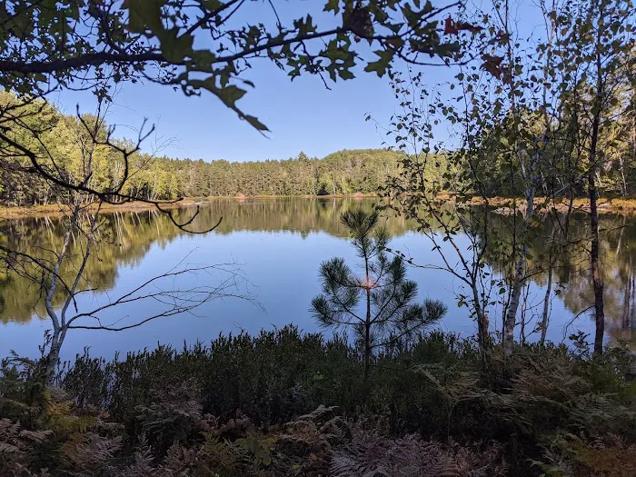 Horseshoe Lake Horse Campground 3