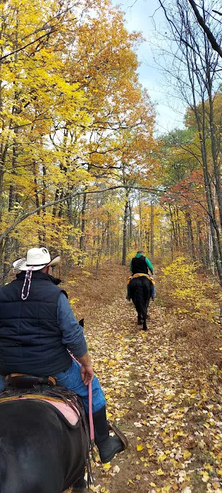 Horseshoe Lake Horse Campground 9