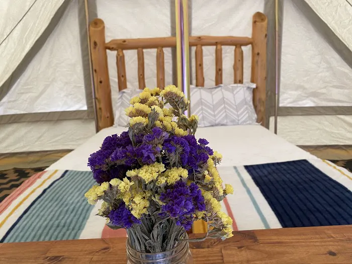 Sailor Springs Glamping 5