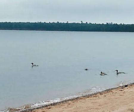 Big Bay Town Park