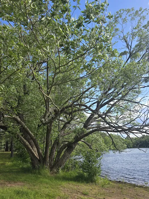 Moon Lake Park 1