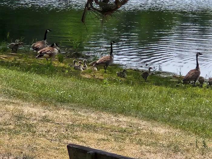 Moon Lake Park 3