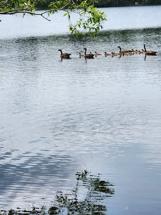 Moon Lake Park 9