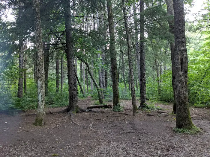 Bois Brule Campground 4