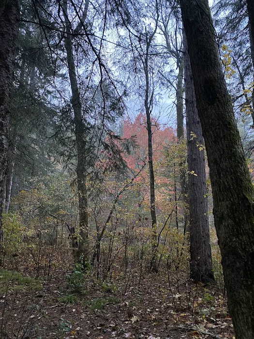 Bois Brule Campground 7