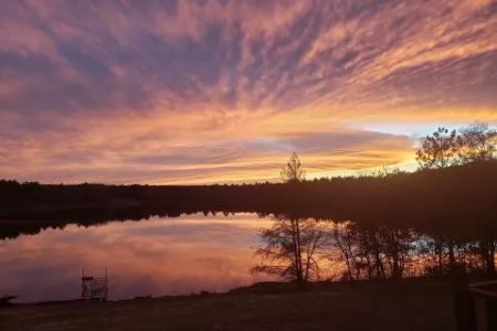 Wheelers RV Park