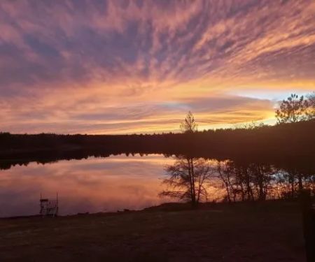Wheelers RV Park