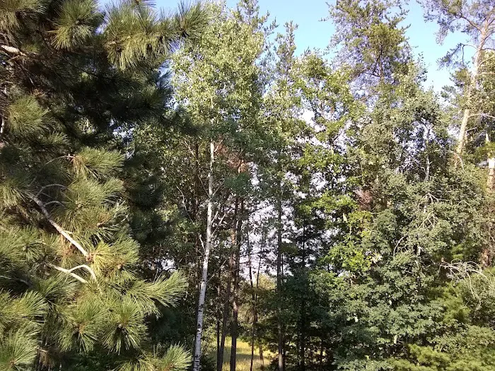 Village East Mobile Home Park 7