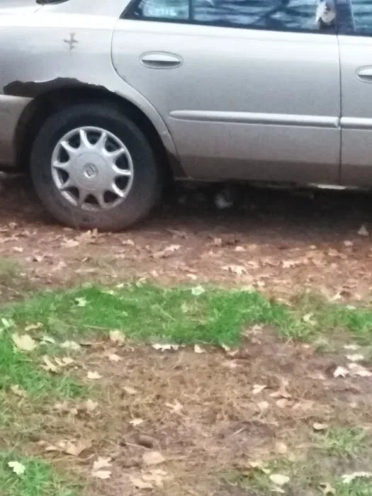 Village East Mobile Home Park 2