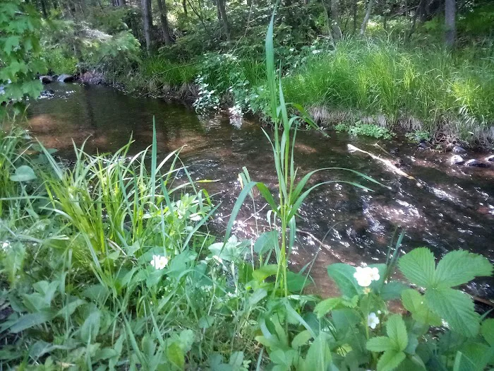 Lucius Woods County Park 7