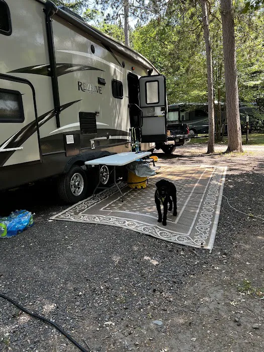 Lucius Woods County Park & Campground 8