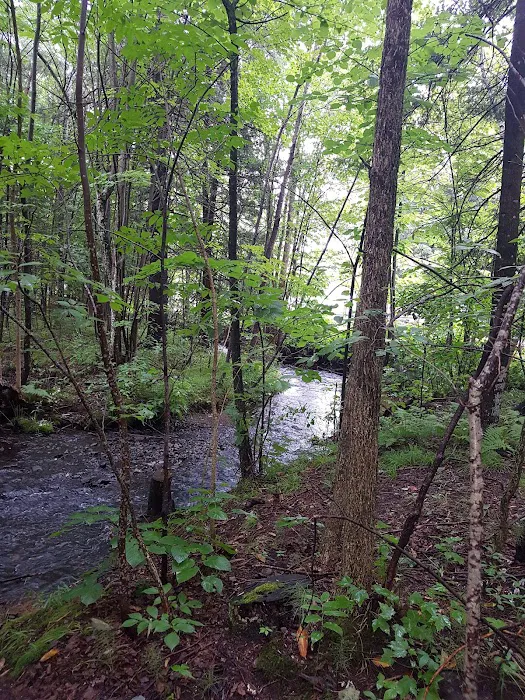 Lucius Woods County Park & Campground 10