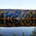 Wild River State Park 