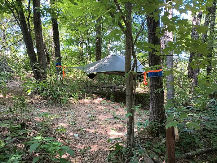 Wild Vines Campground 1