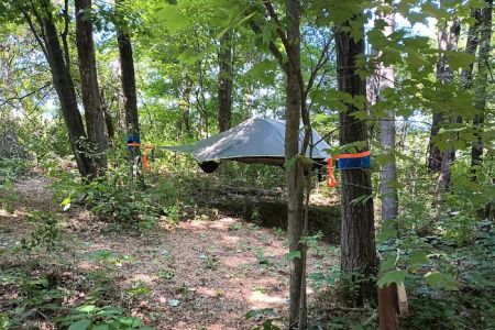 Wild Vines Campground