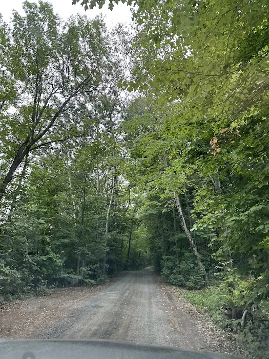 Wild Vines Campground 9