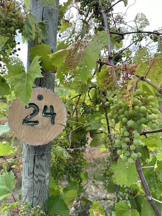 Wild Vines Campground 4