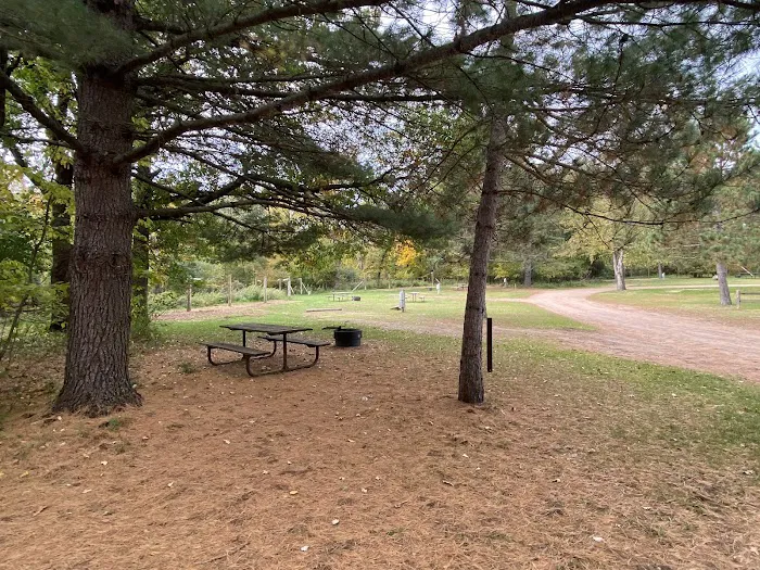 Wild River State Park Equestrian Campground 6