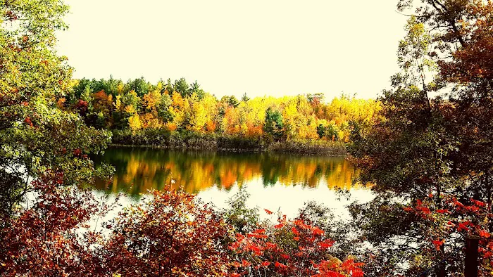 Scenic View Campground 10