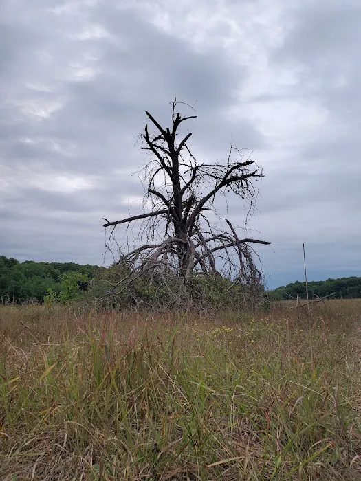 Wild River State Park Group Camp 2