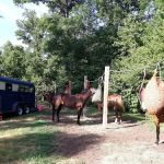Trade River Equestrian Campground, Governor Knowles State Forest, WI