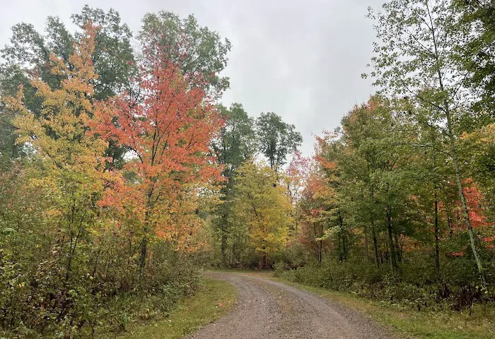 Saint Croix Pines Campground 8