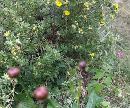 Sunnyside Mobile Home Park Inc