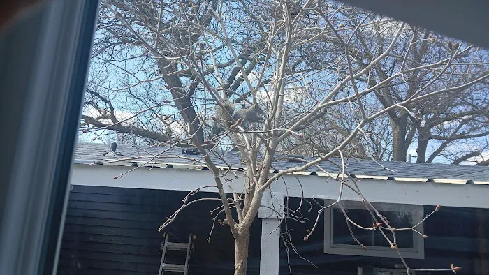 Fridley Terrace Mobile Home Community 2