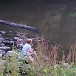 Madelia Campground at Watona Park