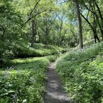 Semi-Modern Campground