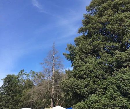 Minnesota River Valley Sanctuary