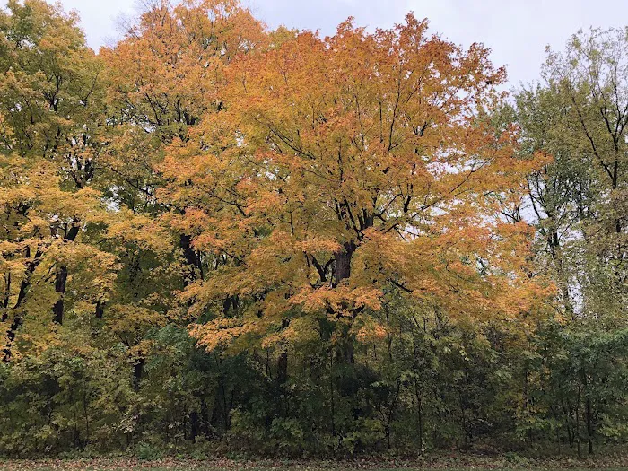 Baker Campground 3
