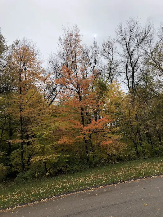 Baker Campground 10