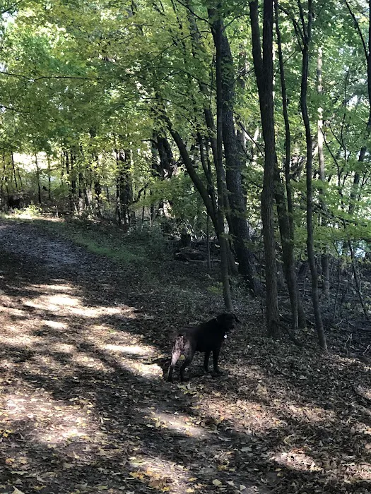 Baker Park Reserve - Marshview Group Camp 9