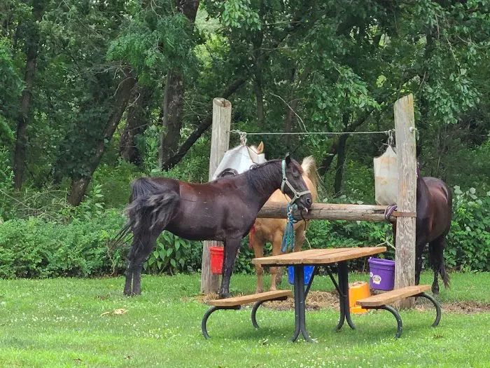 Equestrian Campground 1