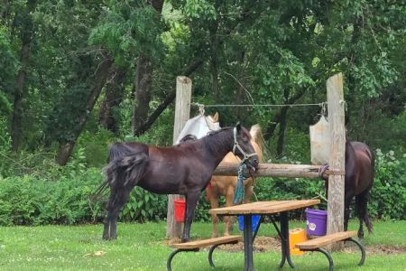 Equestrian Campground