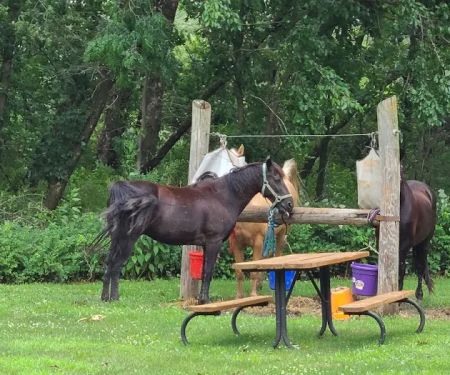Equestrian Campground
